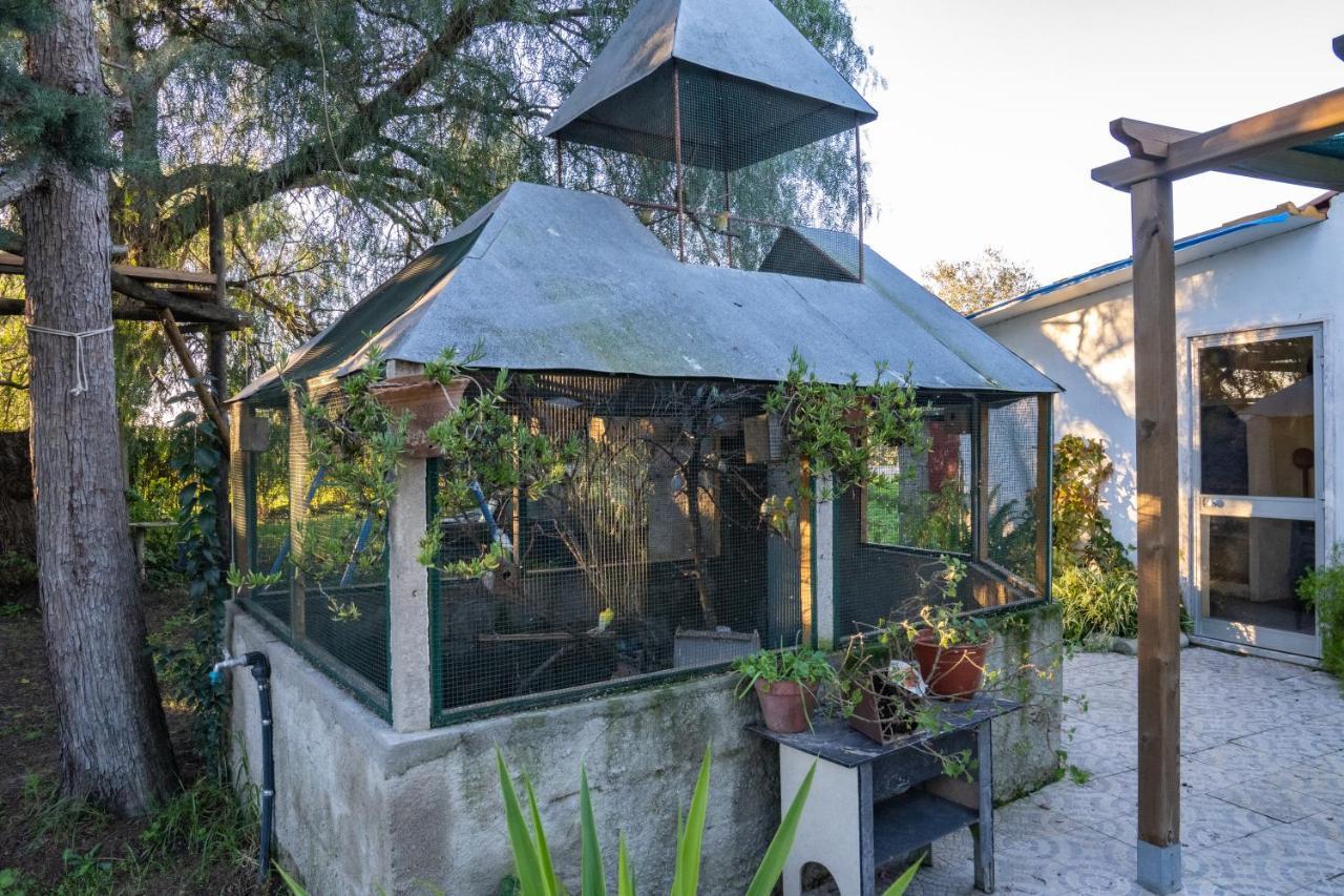 Vakantiehuis Quinta Dos Pinheiros *