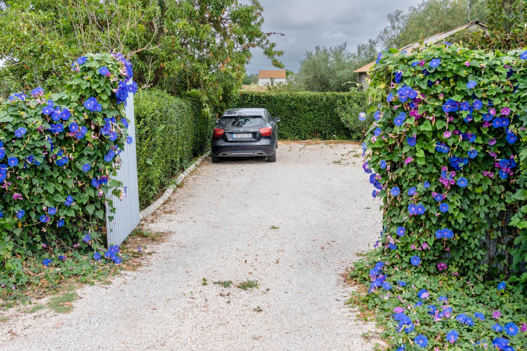Quinta Dos Pinheiros Vakantiehuis *
